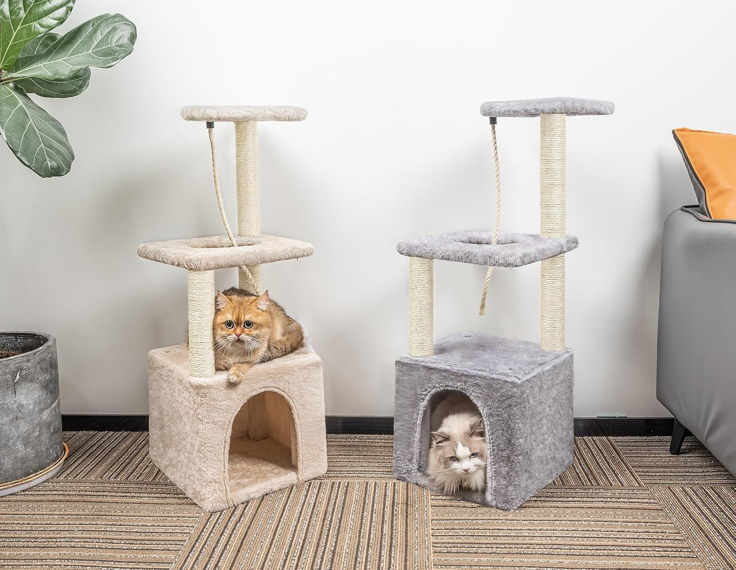 Multi-Level Cat Tree with Condo & Scratching Posts – Assorted Colors