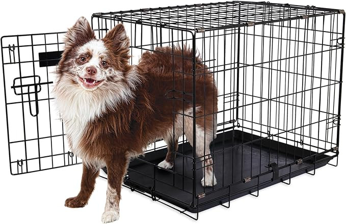 Aspen Pet Home Training Dog Crate – Foldable Wire Dog Crate with Tray (24.6 × 17 × 19.4 in)