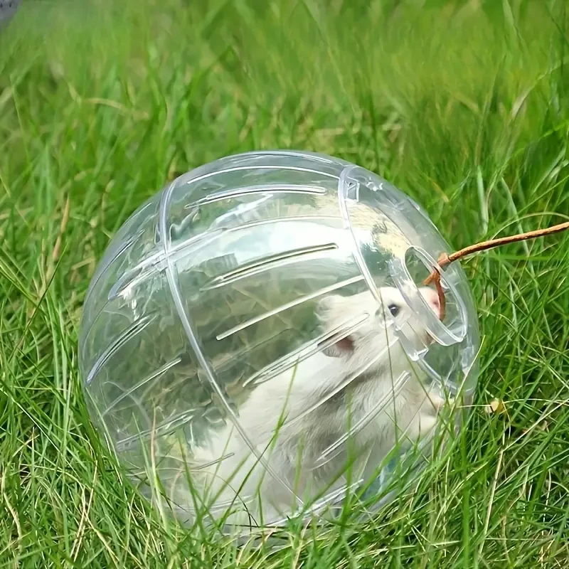 Hamster Exercise Ball – Transparent Plastic