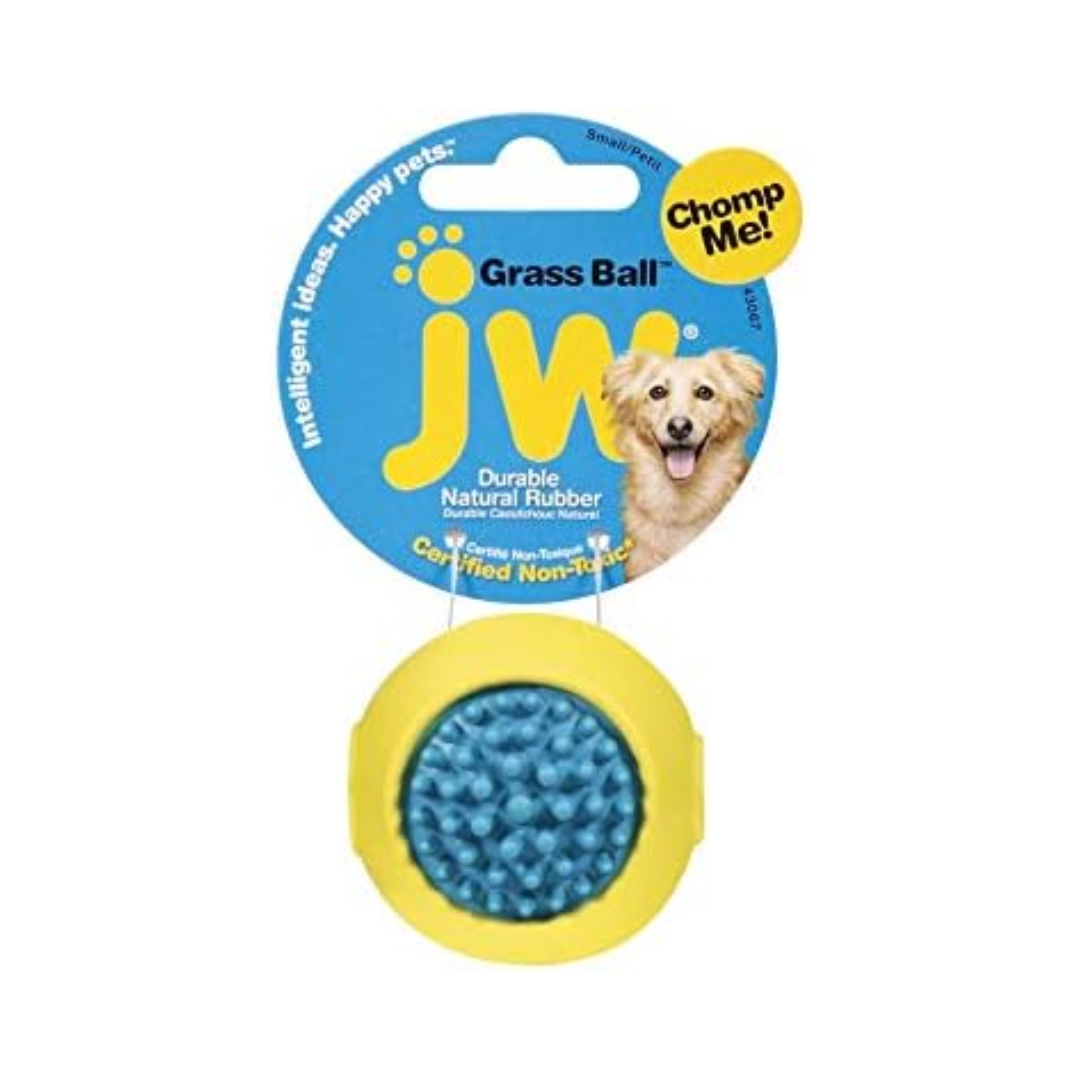 JW Grass Ball Dog Toy – Assorted Colors