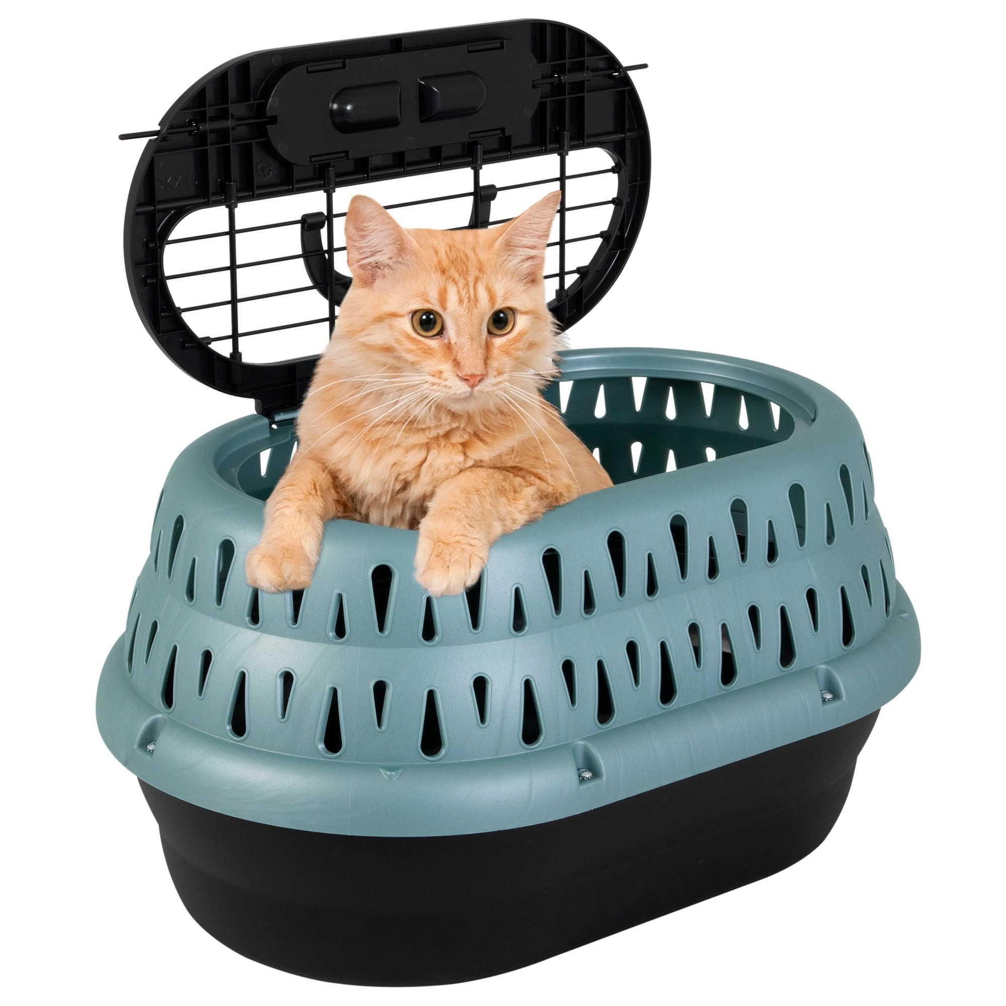 Petmate Two Door Top Load Cat Kennel Pet Carrier – Small (19 × 12.5 × 10.8 in) – Green
