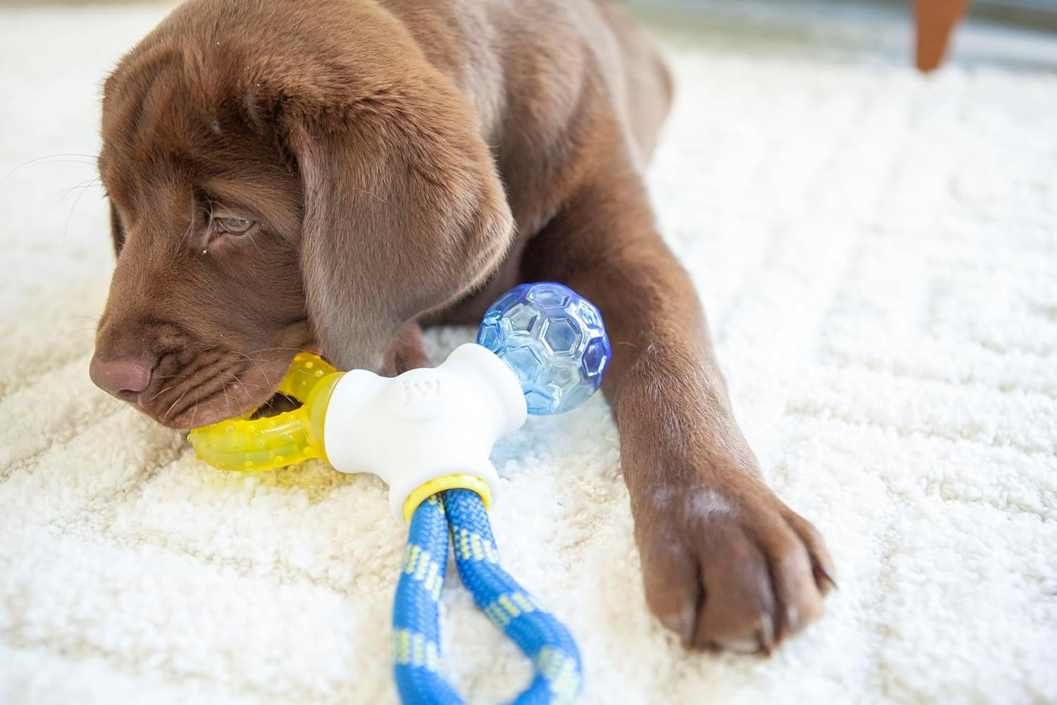 JW Puppy Connects Interactive Puppy Toy