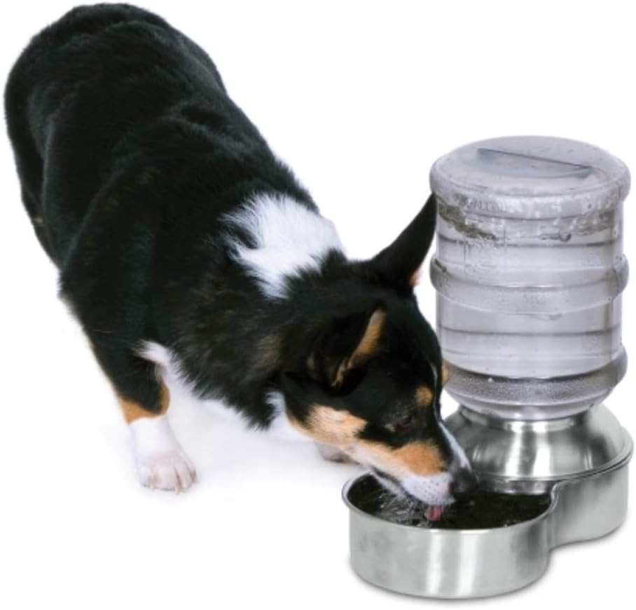 Petmate Stainless Steel Replendish Waterer – 1 Gallon (3.78 L)