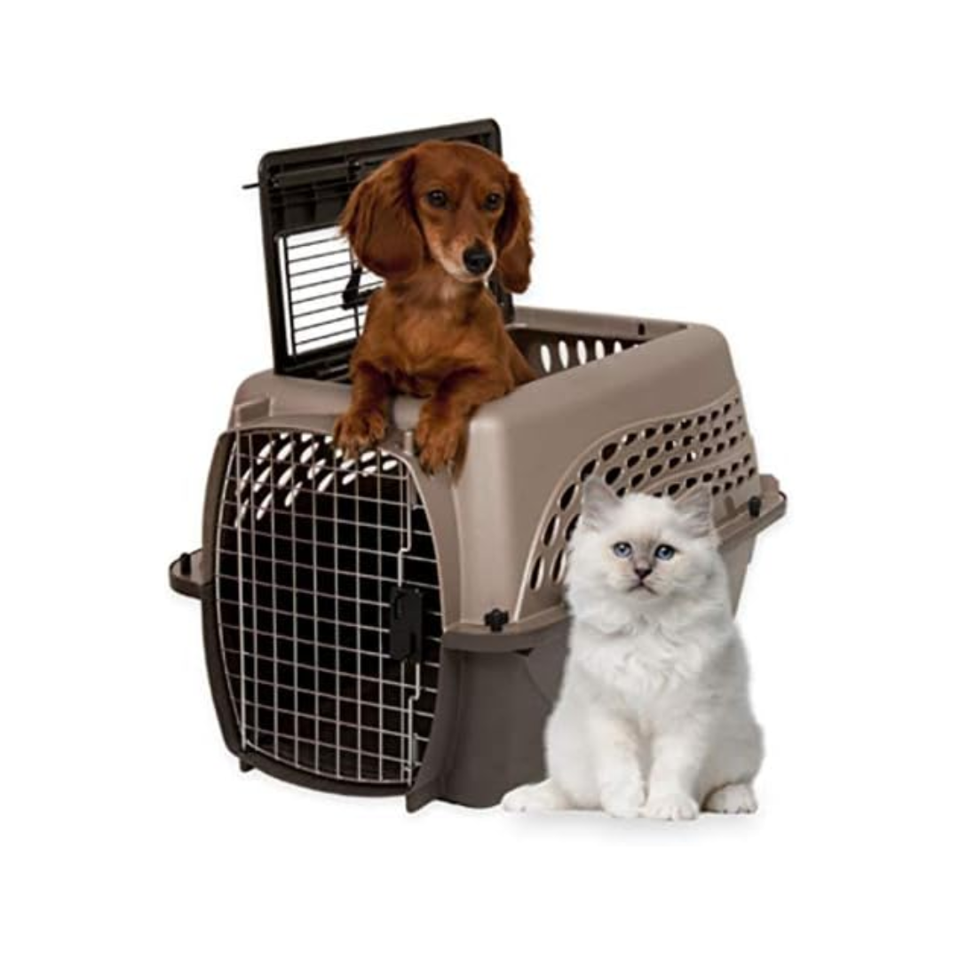 Petmate 2-Door Top Load Pet Kennel – Small Pets (Up to 15 lbs) (Assorted Colors) (L 61.2 x W 42.7 x H 36.8 cm)