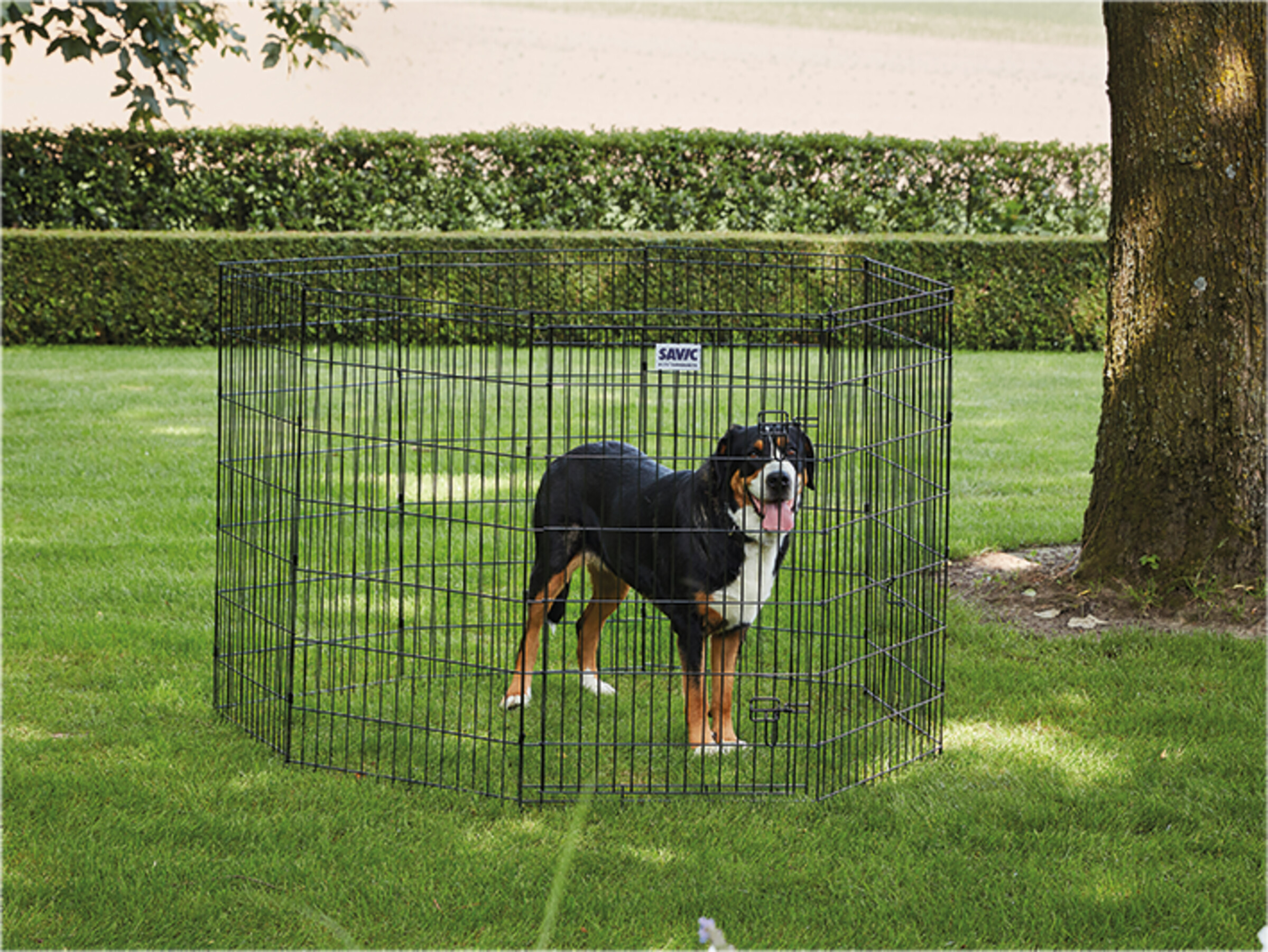 Savic Dog Park 3 – Foldable Metal Pet Playpen (107 × 61 cm)