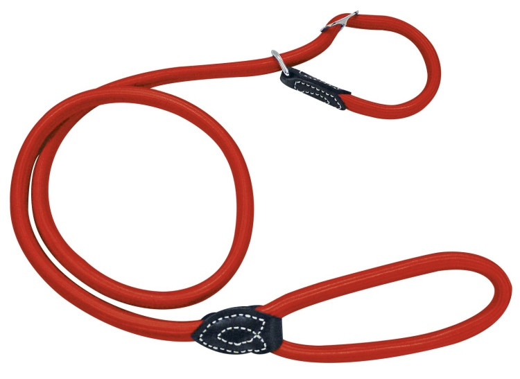 Slip Rope Dog Leash – All-in-One Collar and Lead