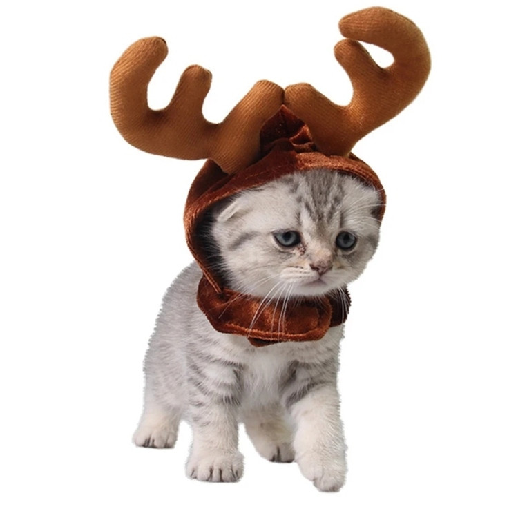 Festive Reindeer Antlers Hat for Cats and Small Dogs