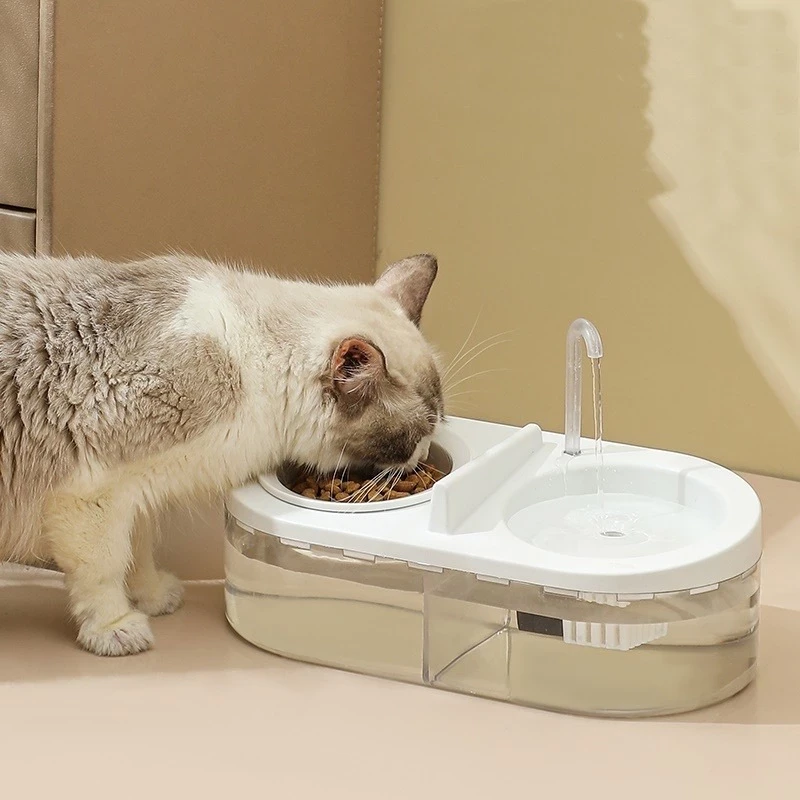 Dual Function Pet Feeder with Fountain - For Cats and Dogs