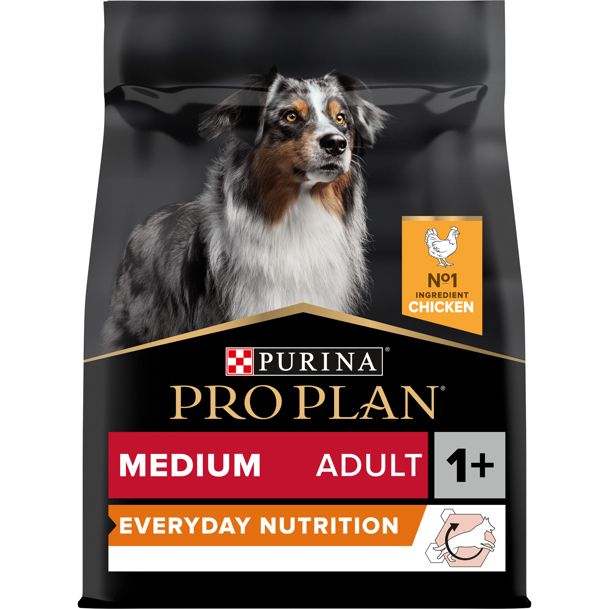 Purina Pro Plan Everyday Nutrition Medium Adult Dry Dog Food with Chicken