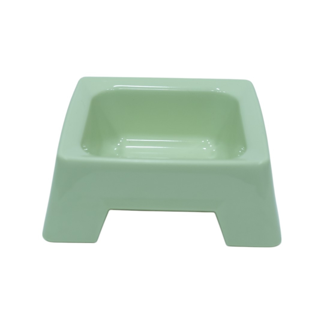Elevated Dog Bowl in Light Green