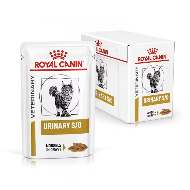 Royal Canin Veterinary Urinary S/O Wet Cat Food – Morsels in Gravy