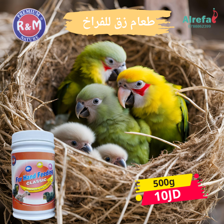 R&M For Hand Feeding Formula – Classic