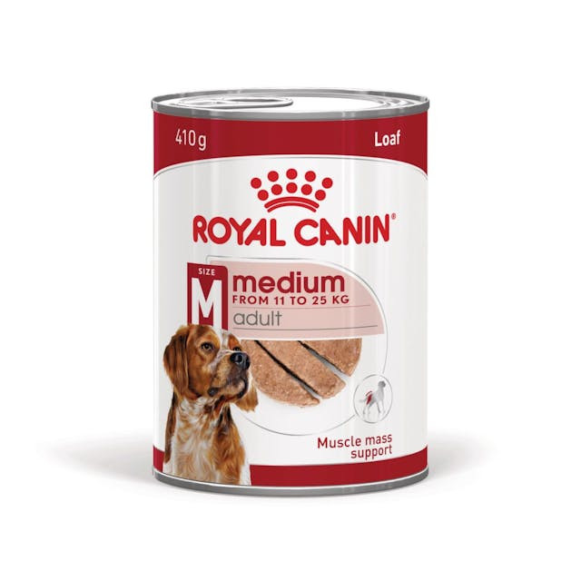 Royal Canin Medium Adult In Loaf Wet Dog Food