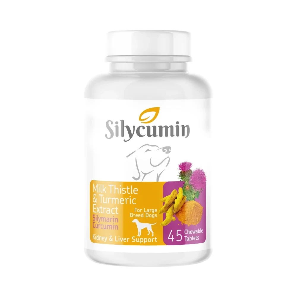 Bio PetActive Silycumin – Milk Thistle & Turmeric Extract Supplement for Dogs