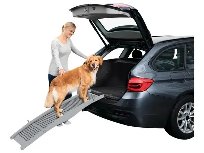 Zoofari Folding Dog Ramp