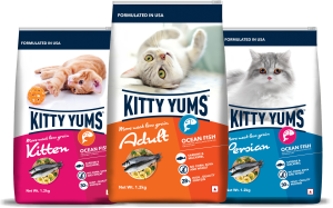 Kitty Yums Adult Dry Cat Food