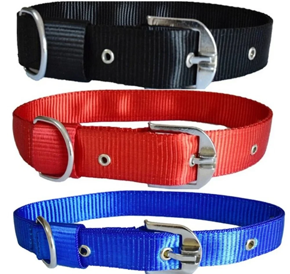 Adjustable Nylon Dog Collars