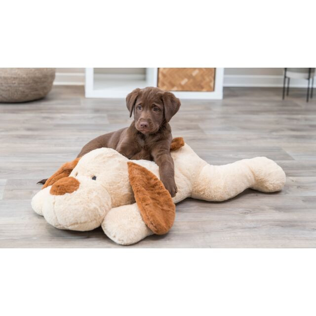Trixie Cuddle Dog Benny – Soft Edition (75 cm)