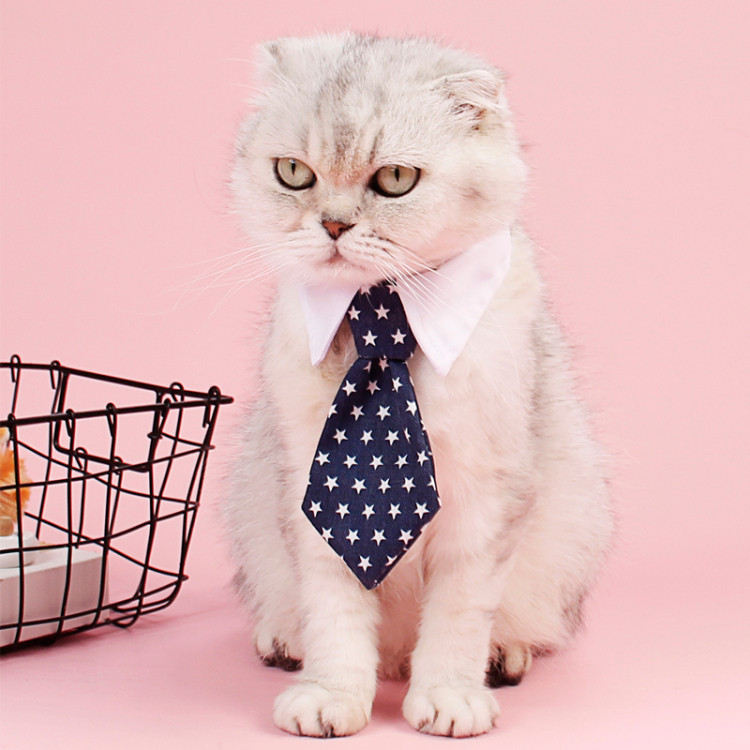 Formal Star-Print Pet Necktie with White Collar