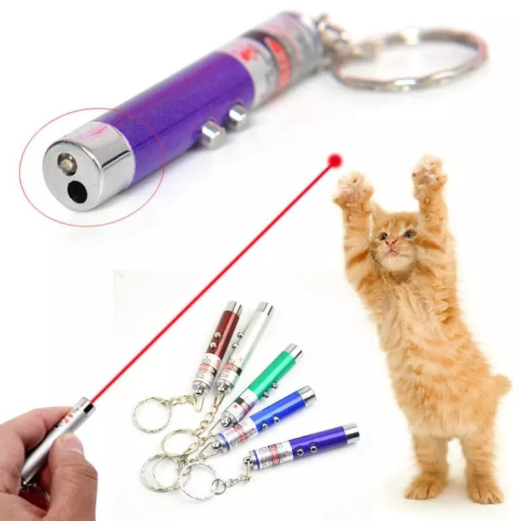 Interactive Laser Pointer Toy for Cats – With Keychain Attachment