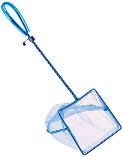 Fish Tank Net