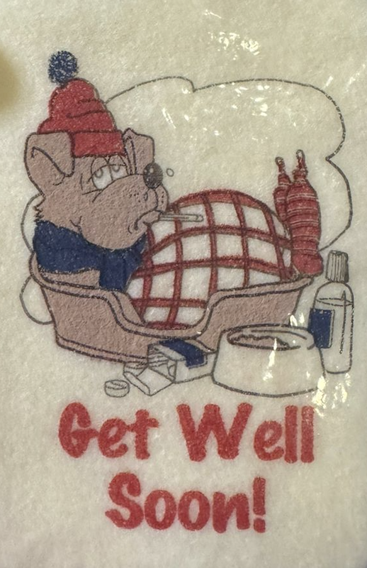 Edible Treating Cards for Dogs - "Get Well Soon!"
