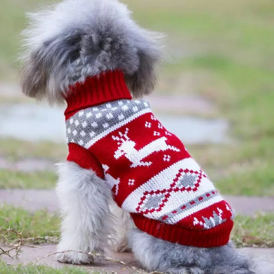 Winter Pet Sweaters – Assorted Knitted Designs