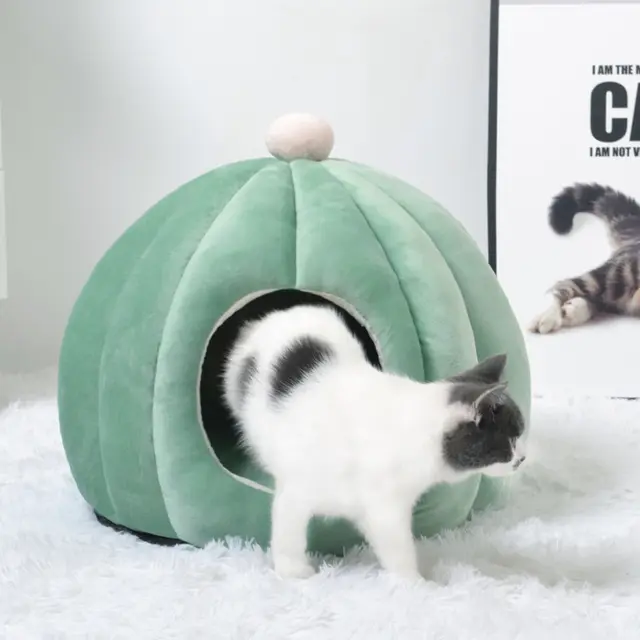 Cactus-Inspired Pet Bed with Removable Cushion
