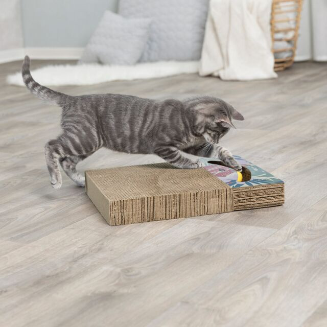 Trixie Scratching Cardboard with Toy Balls – 38 × 5 × 30 cm