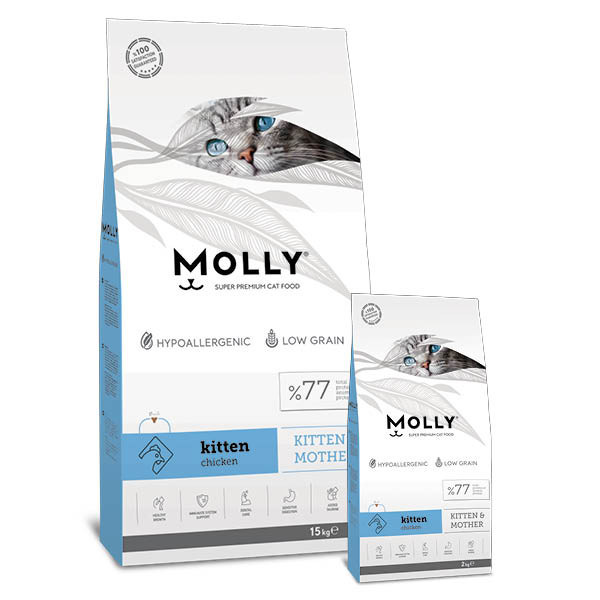 Molly Kitten & Mother Cat Food with Chicken
