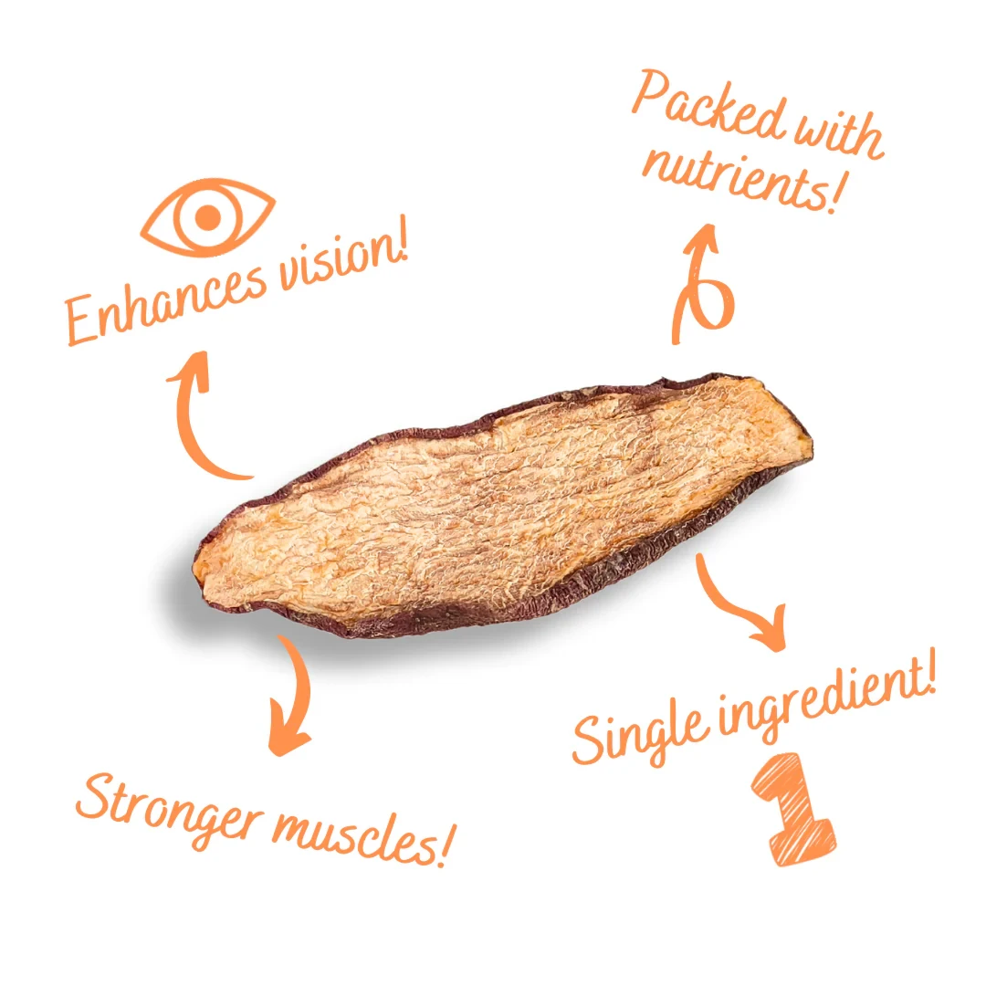 Doggy Bites – Sweet Potato Slices