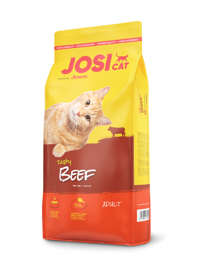 Josi Cat Beef