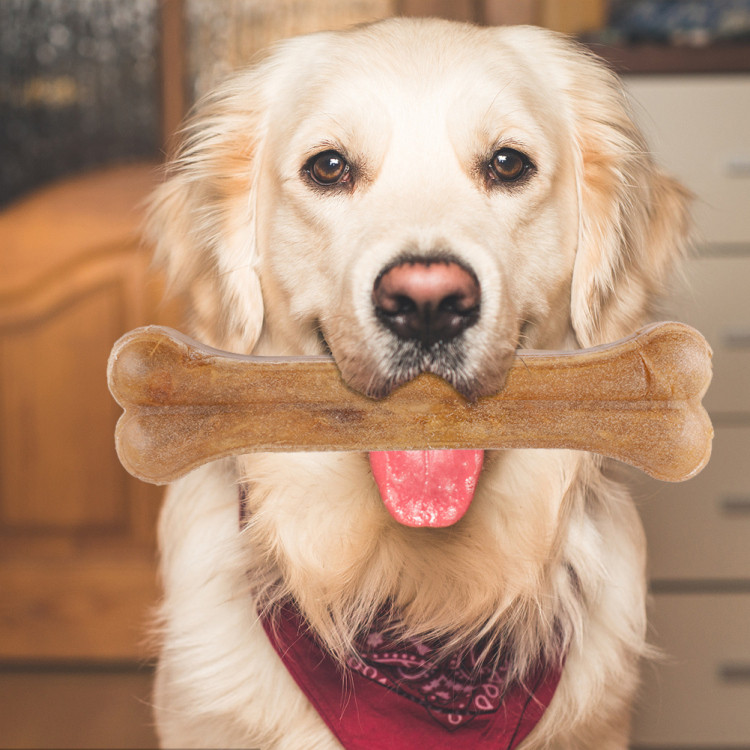 Pet Teeth Bone – Natural Cowhide Dental Chew
