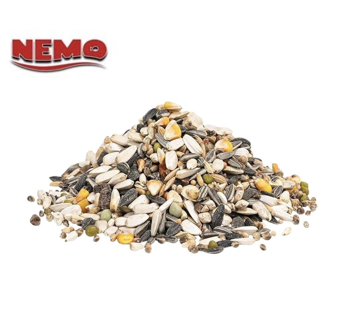 Parrot Seed Mix