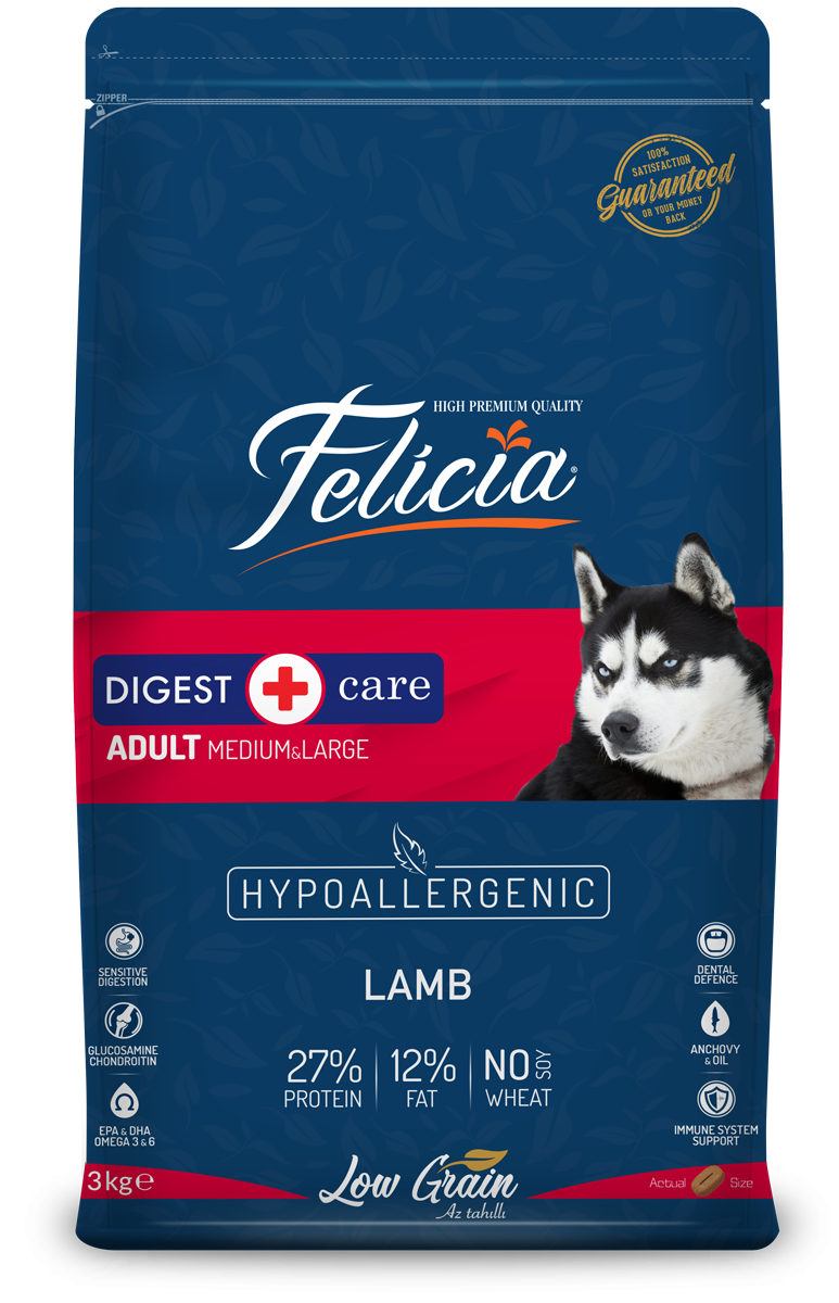 Felicia Digest Care Adult with Lamb for Medium & Large Breed