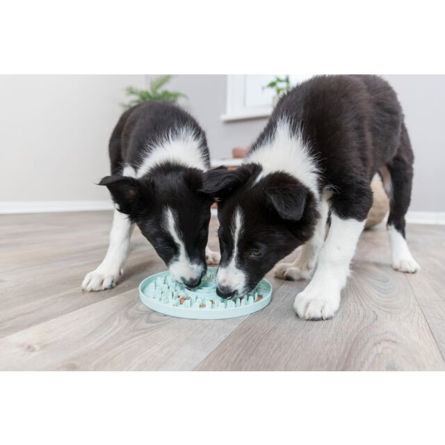 Trixie Junior Licking Plate – Ø 21 cm
