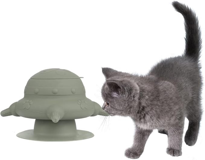 Slow Feeder Pet Bowl