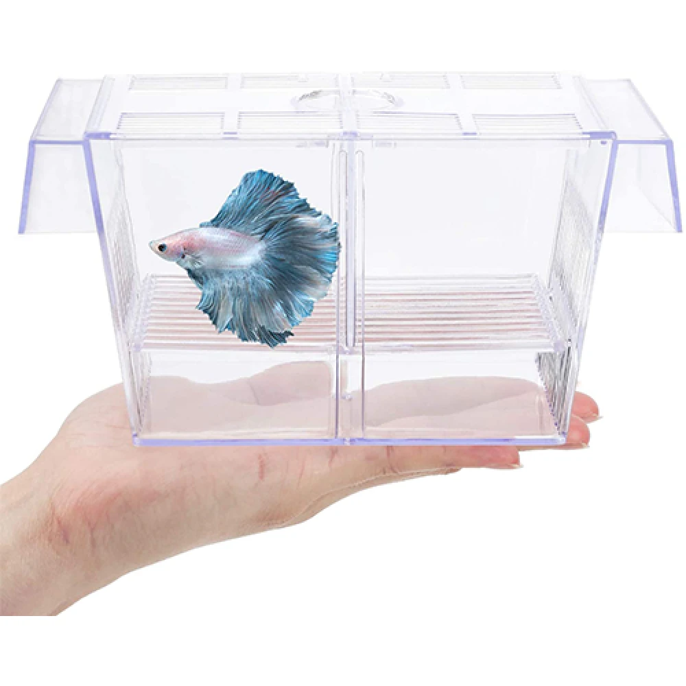 Fish Breeding Box