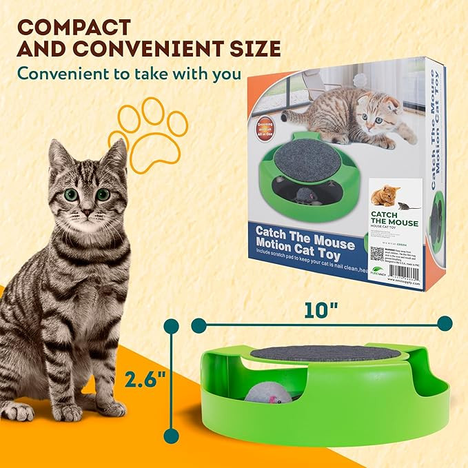 Catch The Mouse House Cat Toy