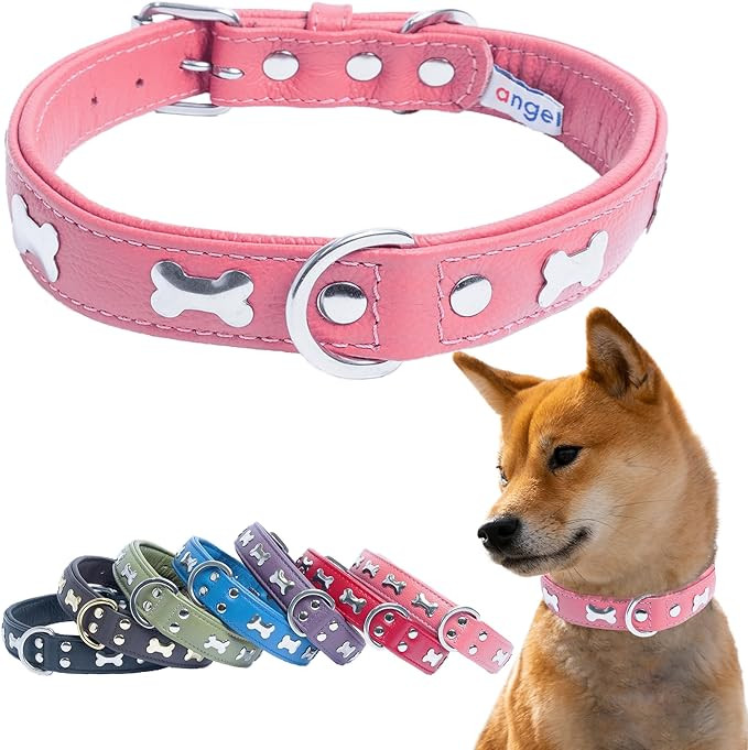 Genuine Leather Dog Collar
