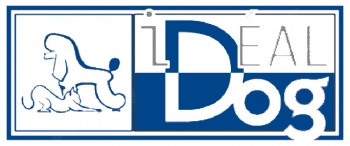 IdealDog