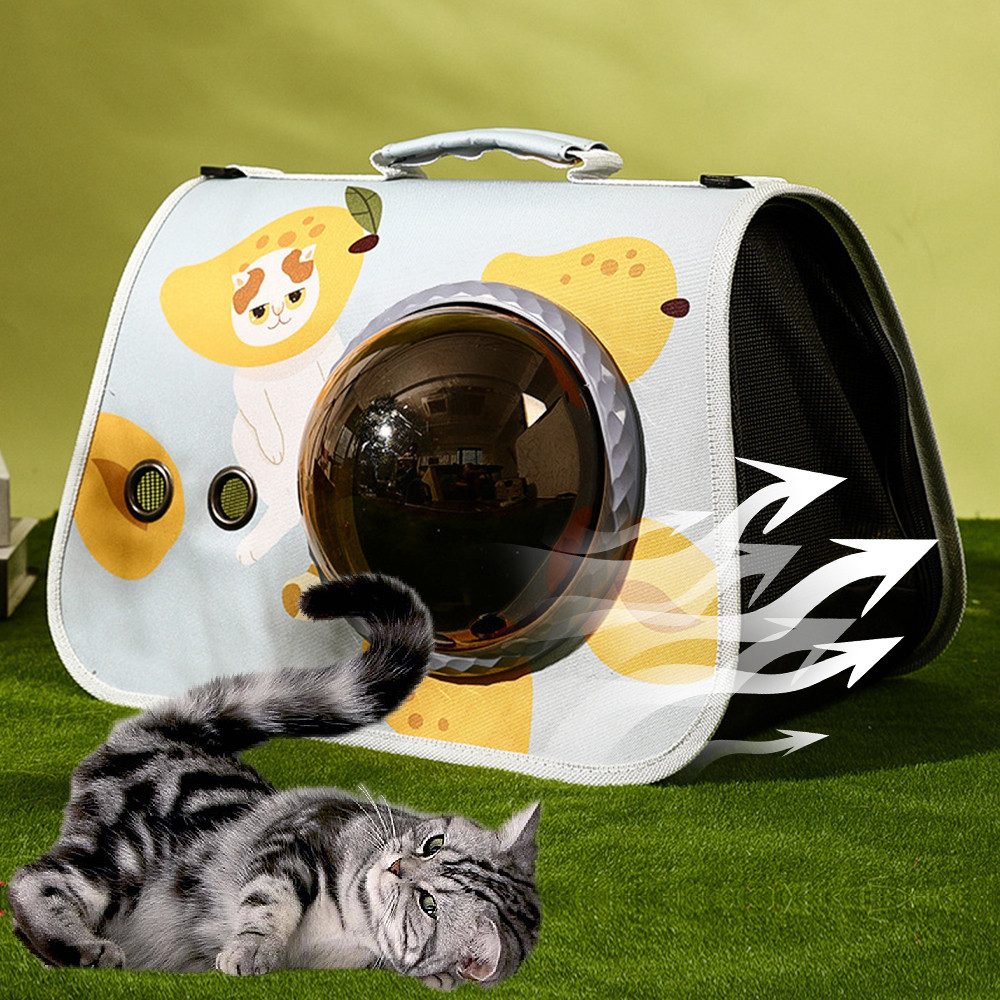 Soft Bubble Pet Carrier – Playful Cat Design