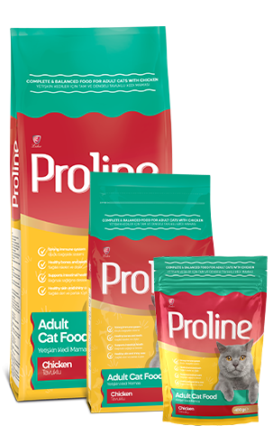 Proline Chicken Adult Cat Food