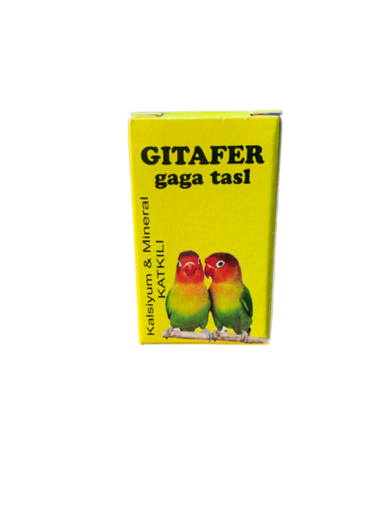 Birds Calcium Stone