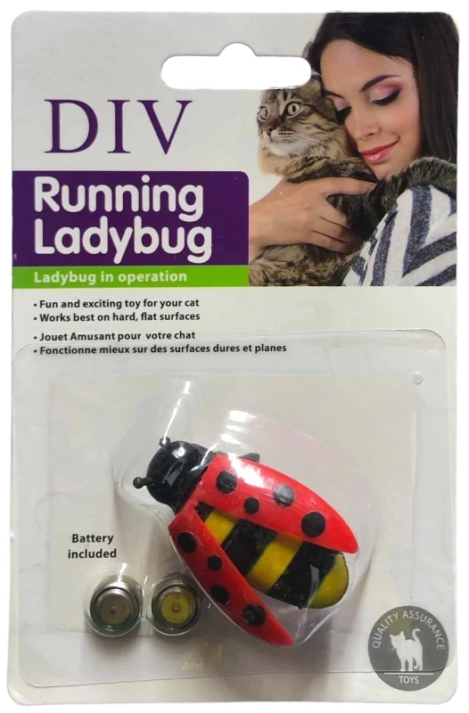 Interactive Ladybug Toy for Cats