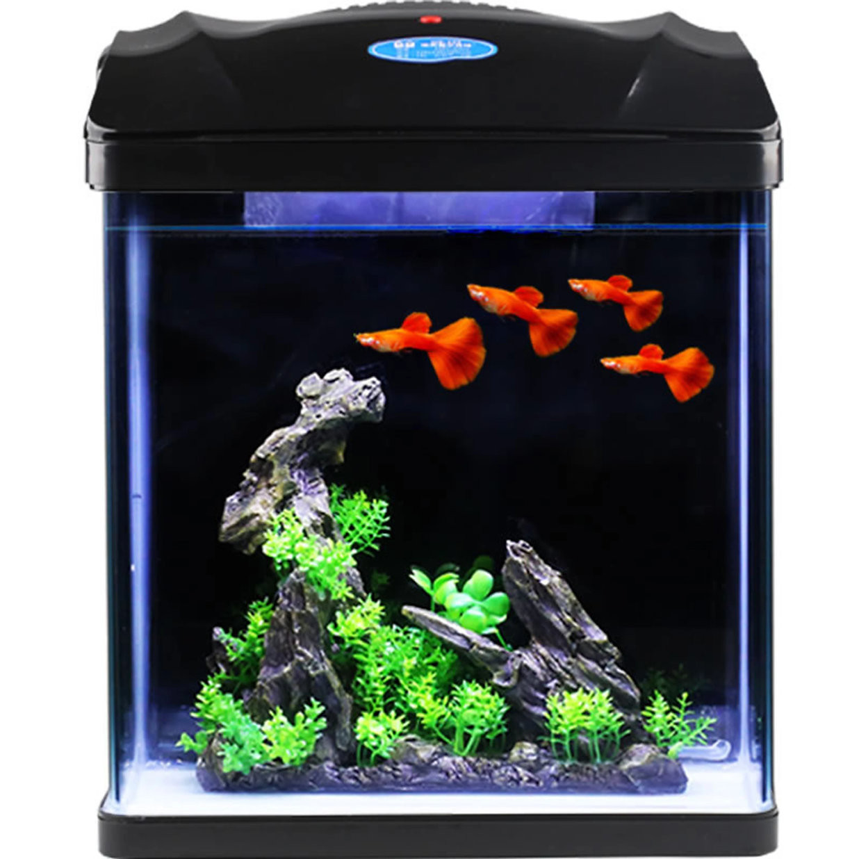 Aquarium Tank