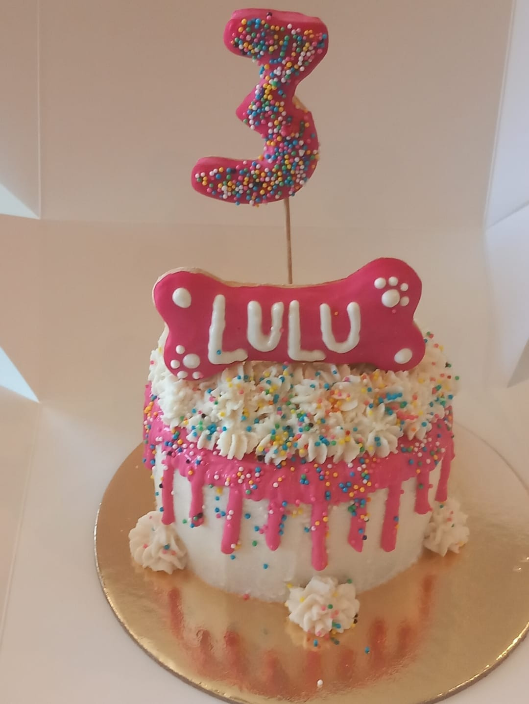 Beef & Carrots Dog Birthday Cake