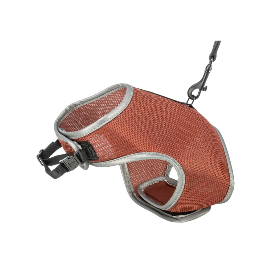 Trixie Soft Harness with Lead for Cats (Stomach Circumference: 28–42 cm | Lead: 1.20 m)