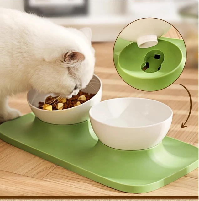 Anti-Slip Double Pet Bowl Set with Stable Base – 2 Removable Bowls