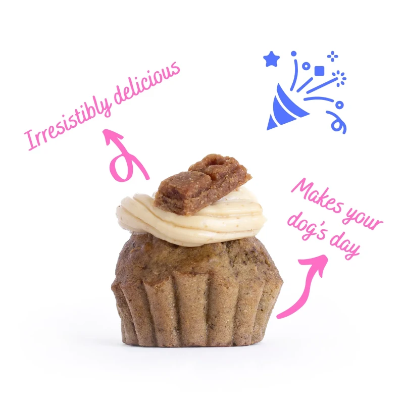 Doggy Bites – Pupcake